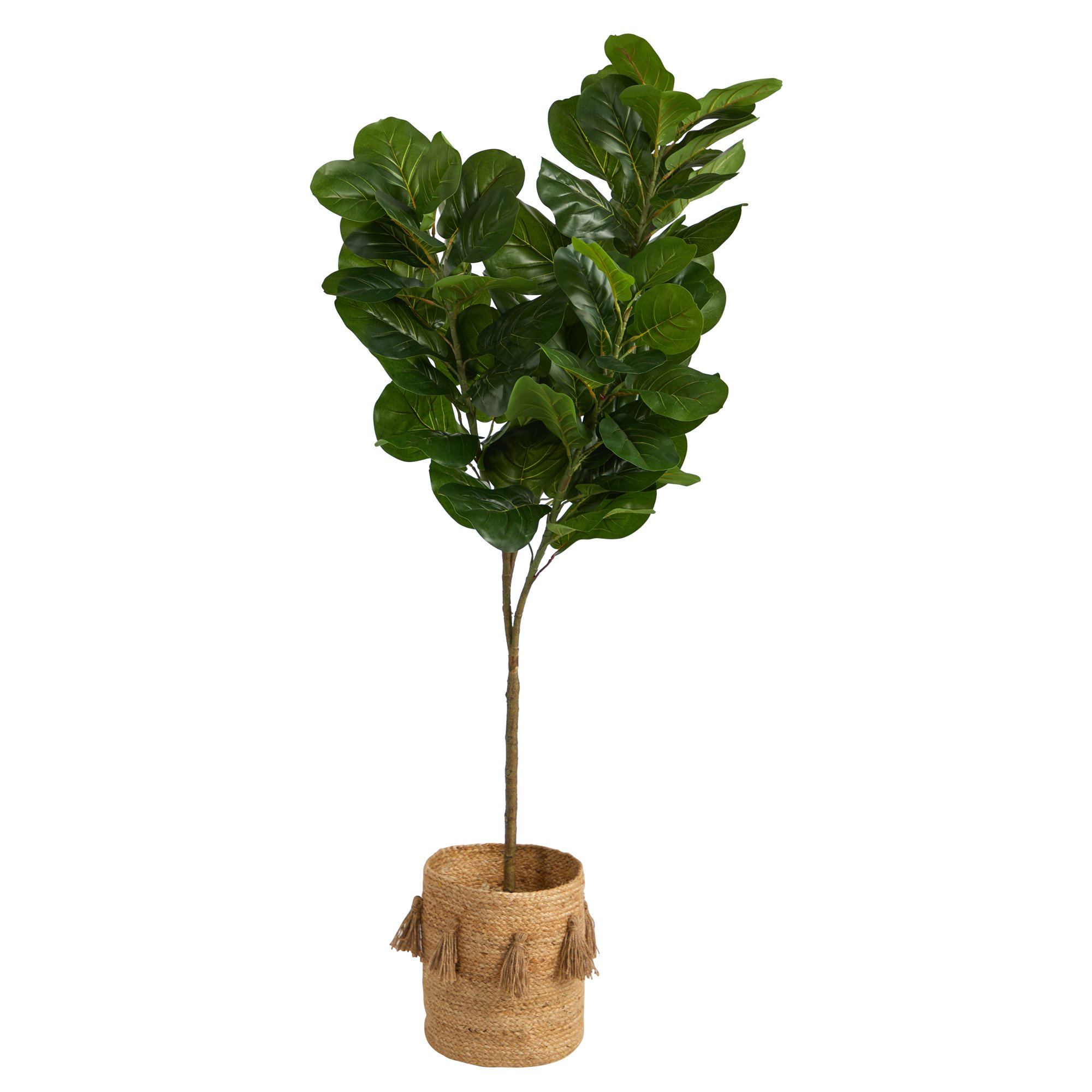 fiddle leaf fig png 6’ Fiddle Leaf Fig Artificial Tree in Handmade Natural Jute Planter with  Tassels
