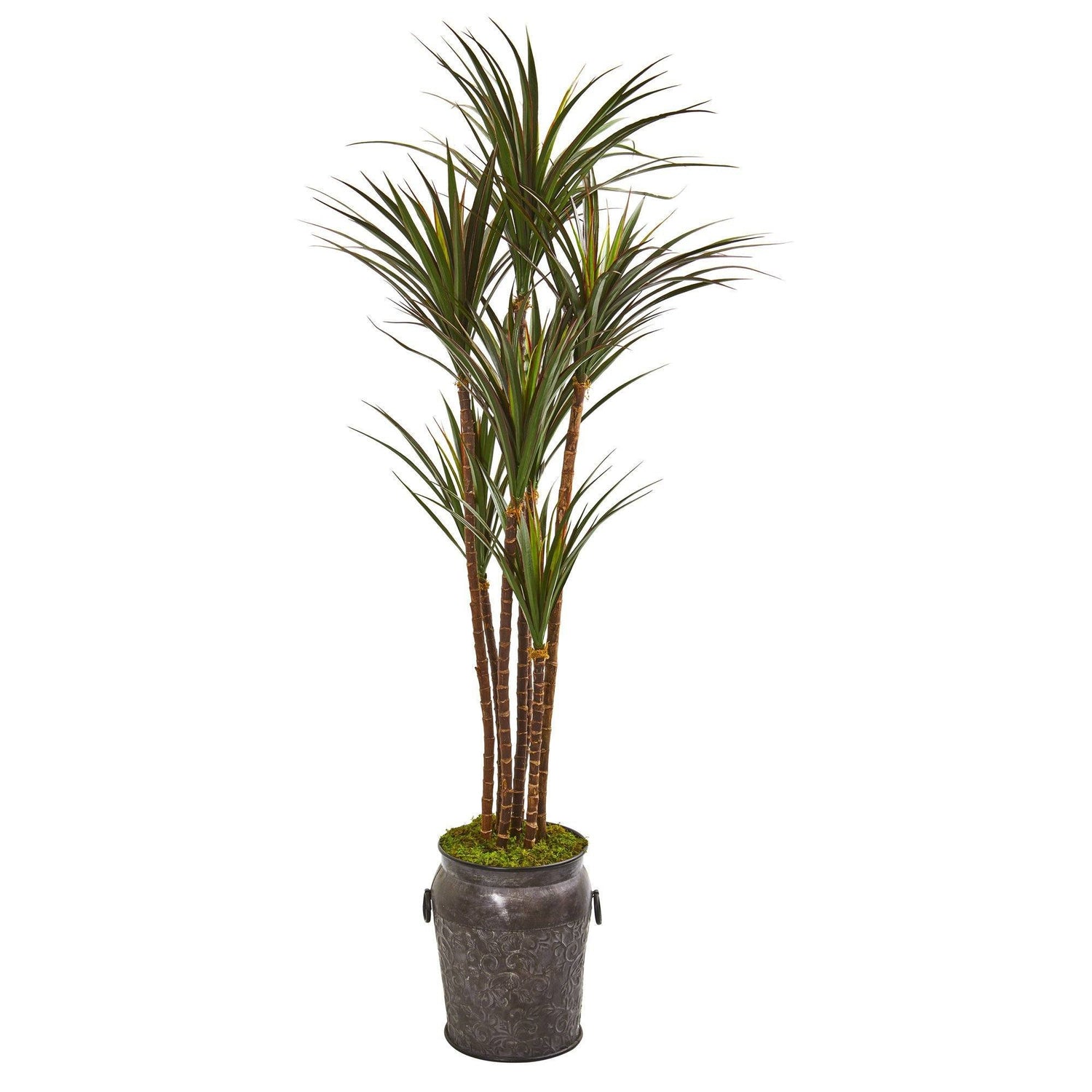 6’ Giant Yucca Artificial Tree in Decorative Planter(Indoor/Outdoor)