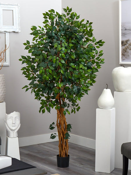 6'  Palace Style Ficus Silk Tree