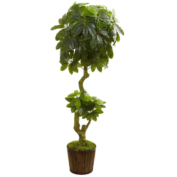 6’ Schefflera Artificial Tree in Bamboo Stick Basket UV Resistant (Indoor/Outdoor)