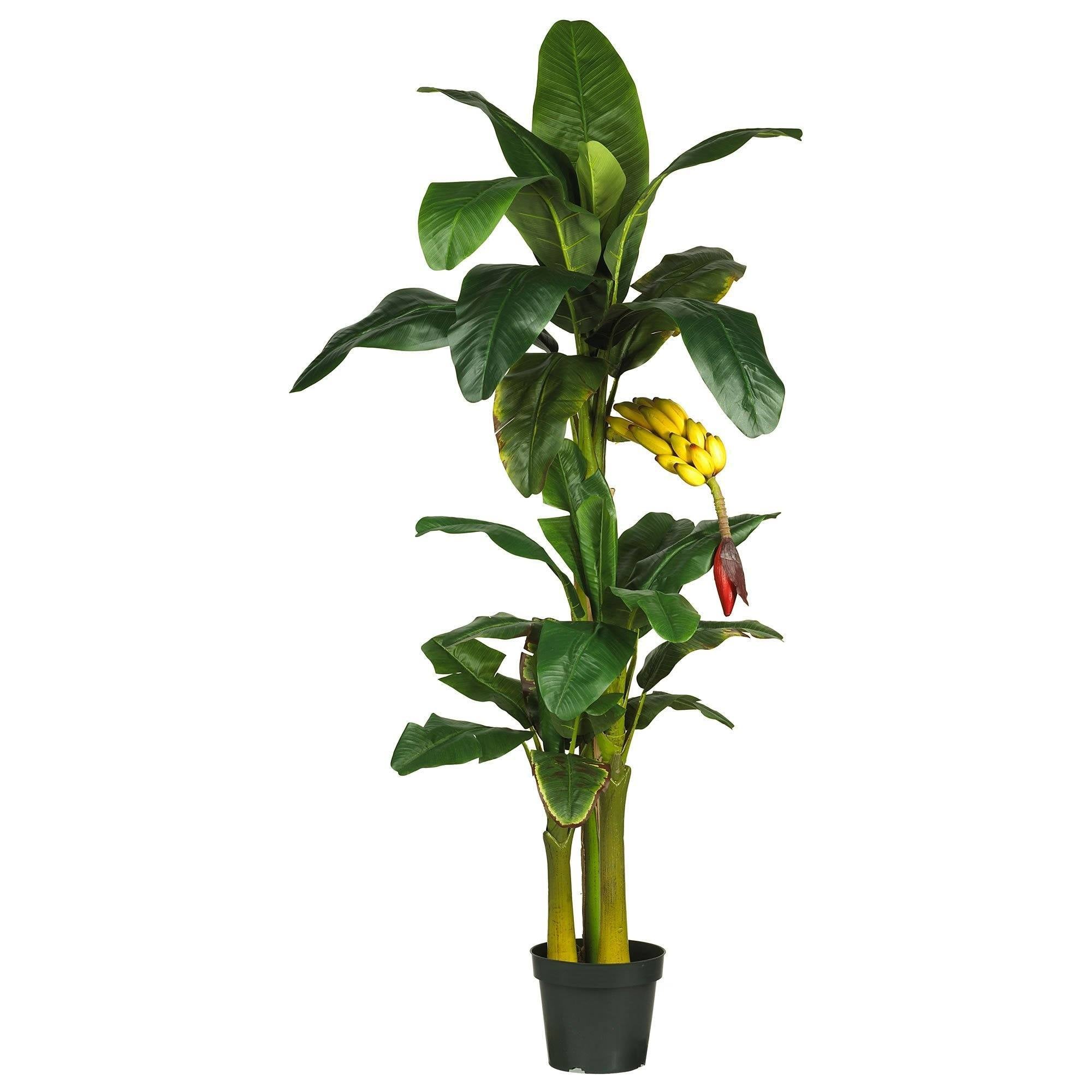 Nearly Natural 6 ft. Triple Stalk Banana Silk Tree