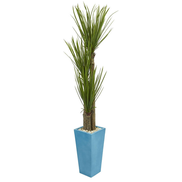 6’ Triple Stalk Yucca Artificial Plant in Turquoise Planter