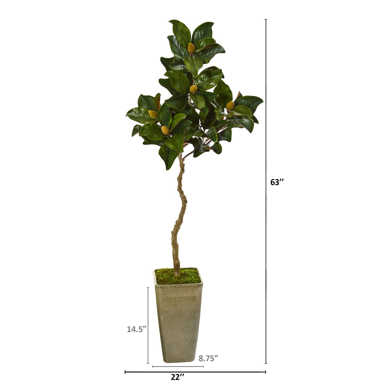 63” Magnolia Artificial Tree in Green Planter