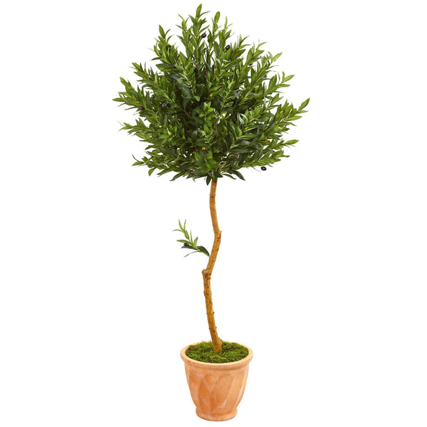 63” Olive Topiary Artificial Tree in Terra Cotta Planter (Indoor/Outdoor)