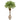 63” Robellini Palm Artificial Tree in Sandstone Planter