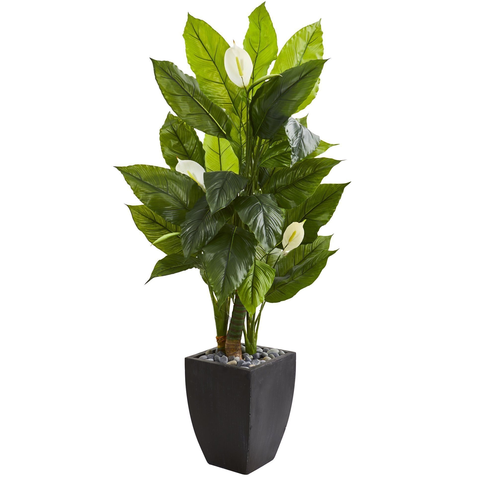 tall artificial plant in black pot 63” Spathyfillum Artificial Plant in Black Planter (Real Touch)