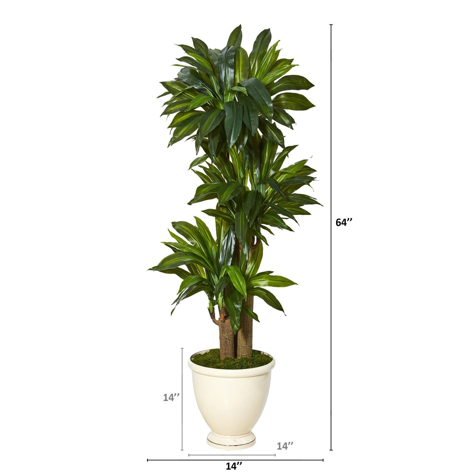64” Corn Stalk Dracaena Artificial Plant in Urn Planter (Real Touch)