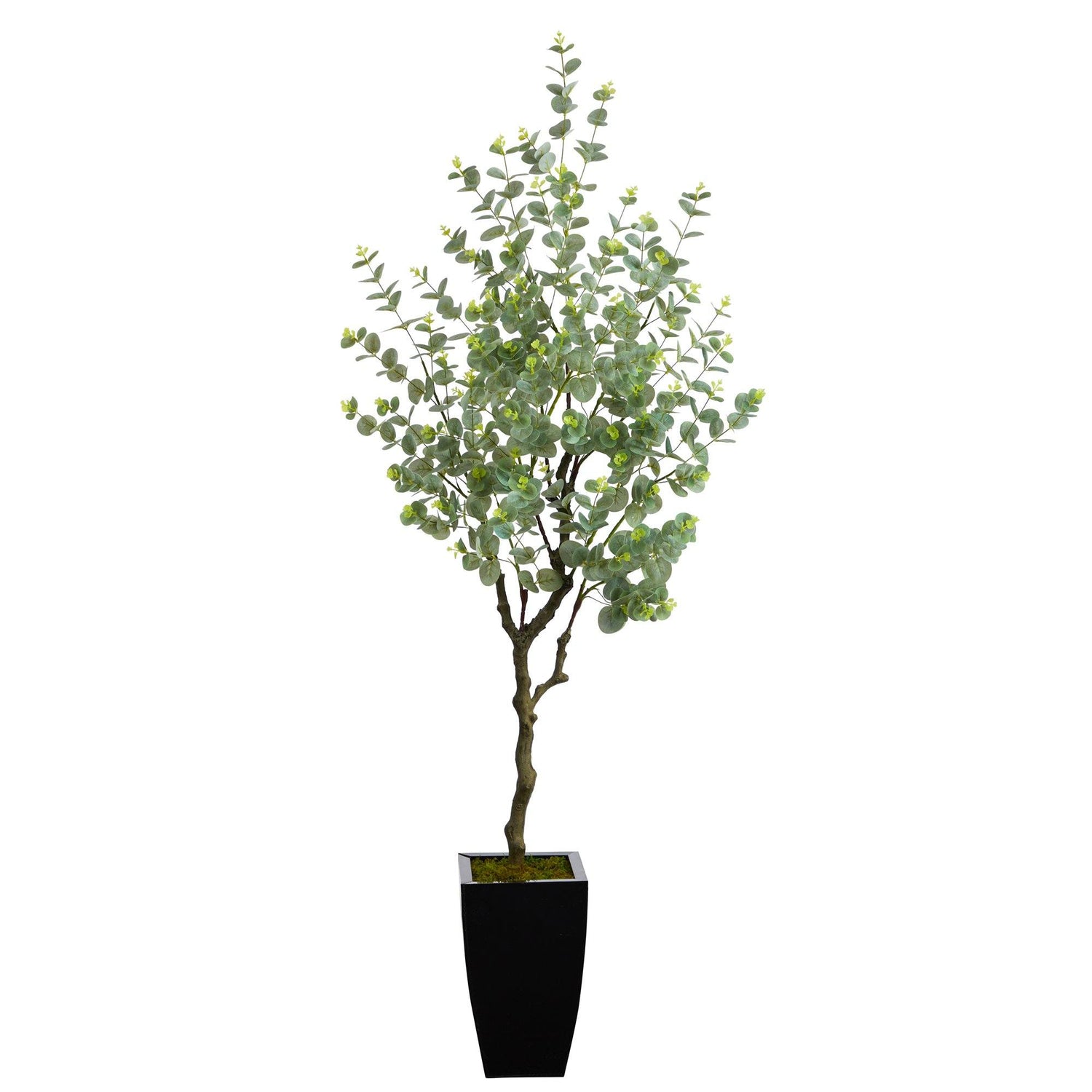 64” Eucalyptus Artificial Tree in Black Metal Planter