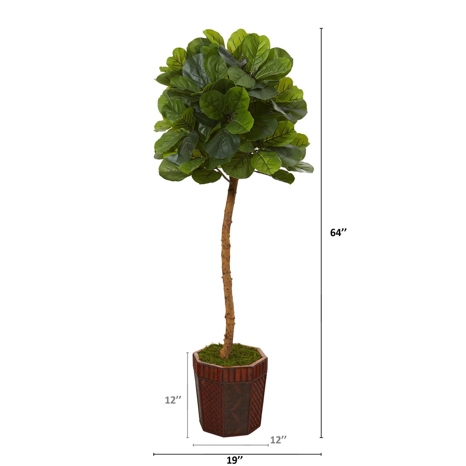 64” Fiddle Leaf Artificial Tree in Decorative Planter (Real Touch)