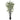 6.5' Black Bamboo Silk Tree