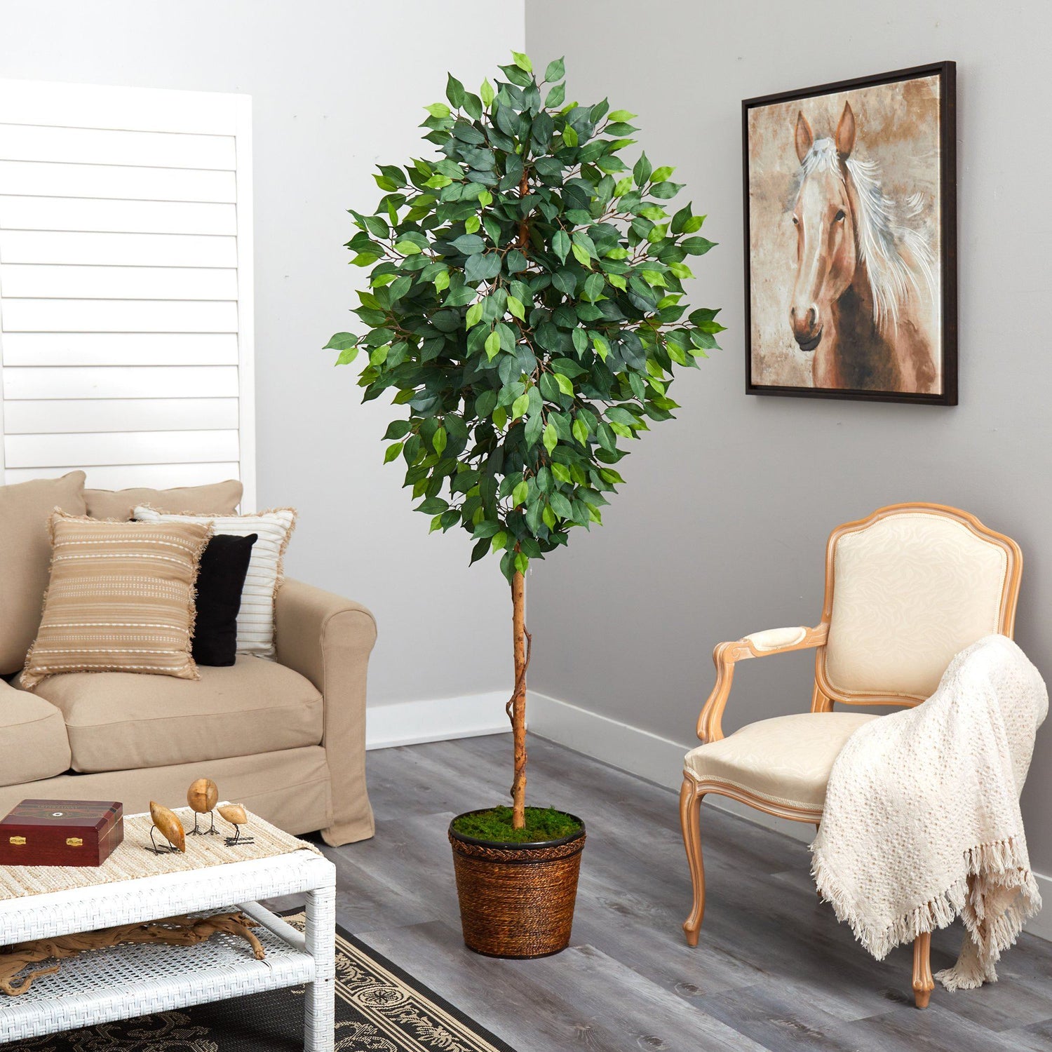 6.5’ Ficus Artificial tree in Wicker Planter