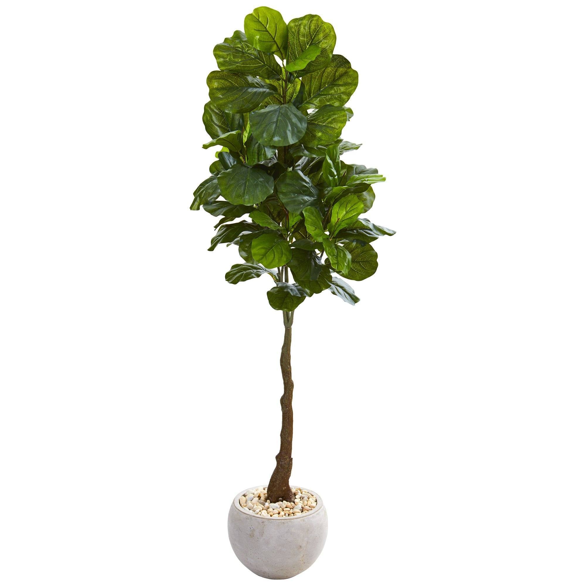 65” Fiddle Leaf Artificial Tree in Sand Colored Planter (Real Touch