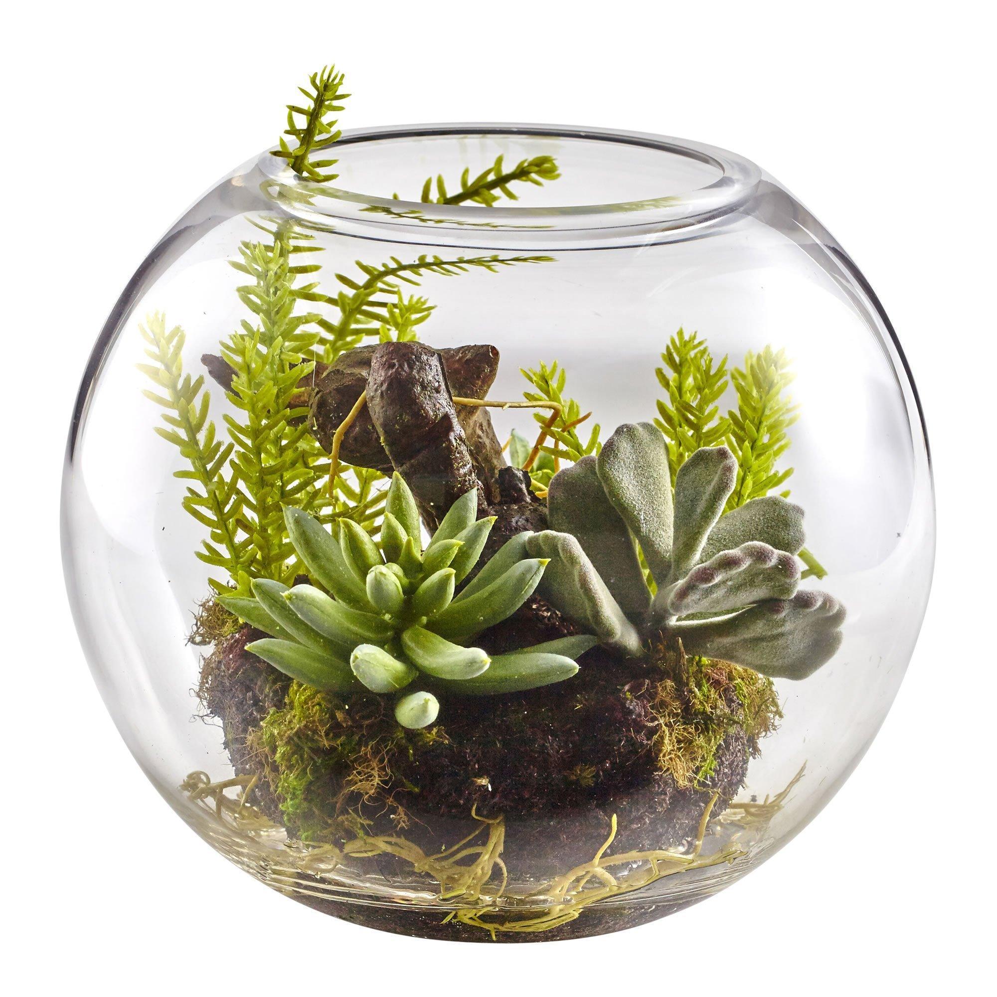 succulent vase ideas 6.5” Mix Succulent Garden w/Glass Vase