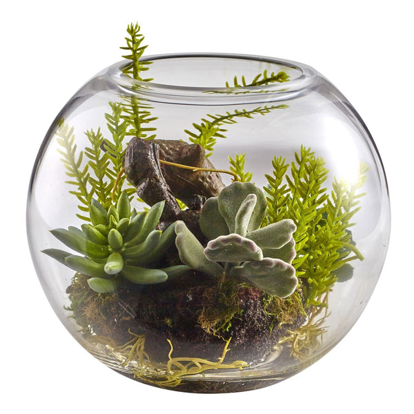 6.5” Mix Succulent Garden w/Glass Vase