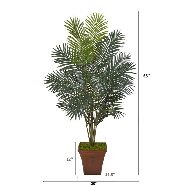 65” Paradise Palm Artificial Plant in Brown Planter