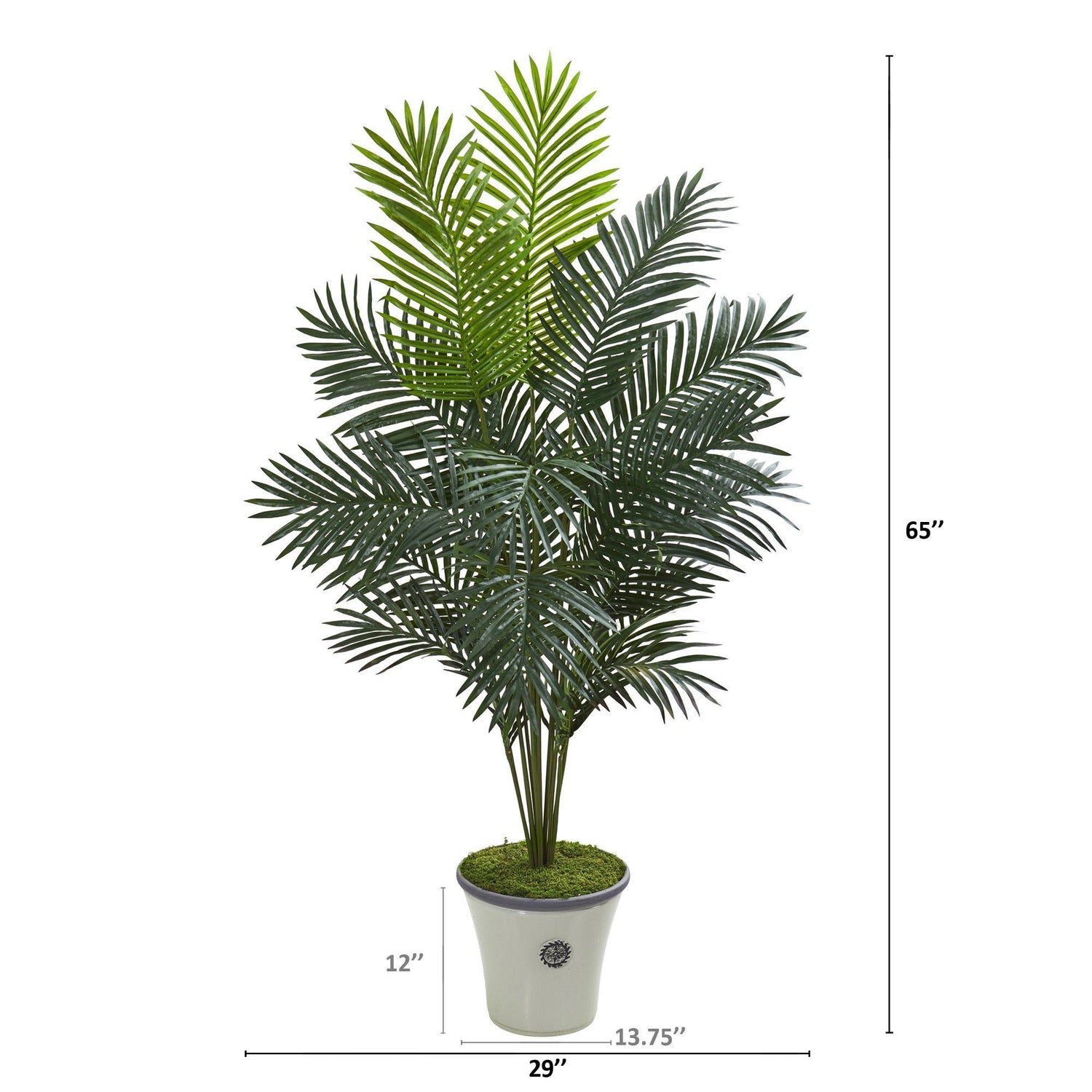 65” Paradise Palm Artificial Plant in Decorative Planter
