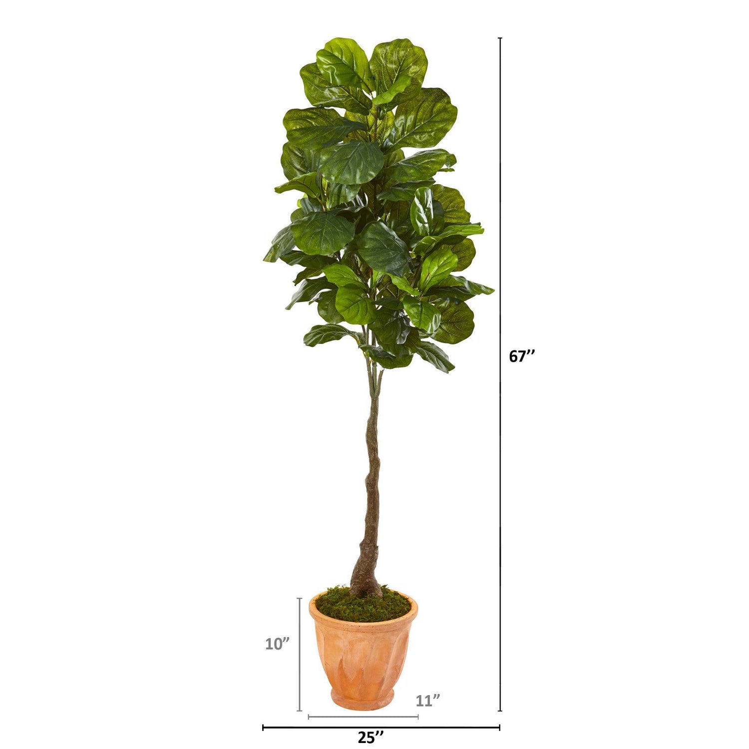 67” Fiddle Leaf Artificial Tree in Terra-Cotta Planter (Real Touch)