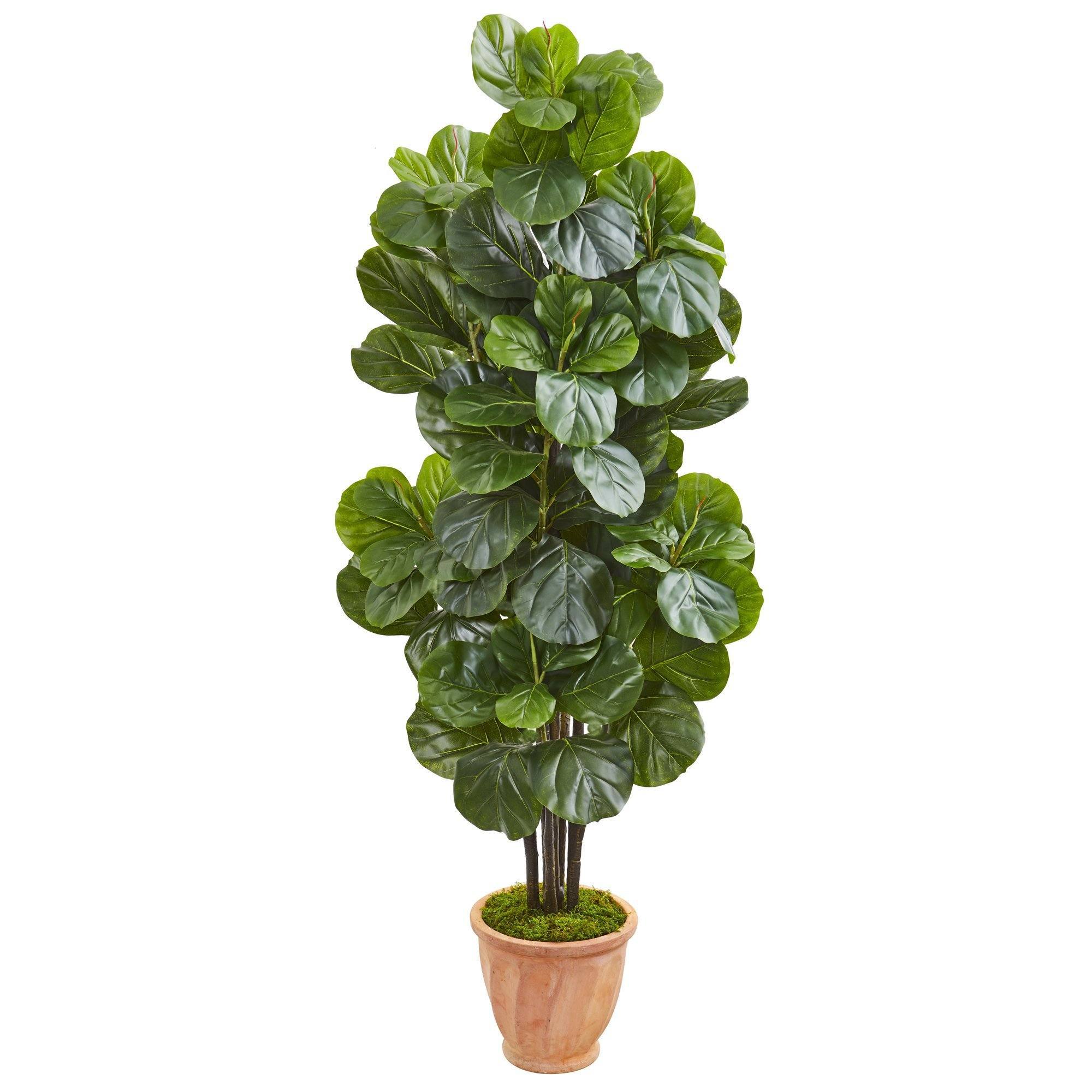 terracotta pot for fiddle leaf fig 67” Fiddle Leaf Fig Artificial Tree in Terracotta Planter