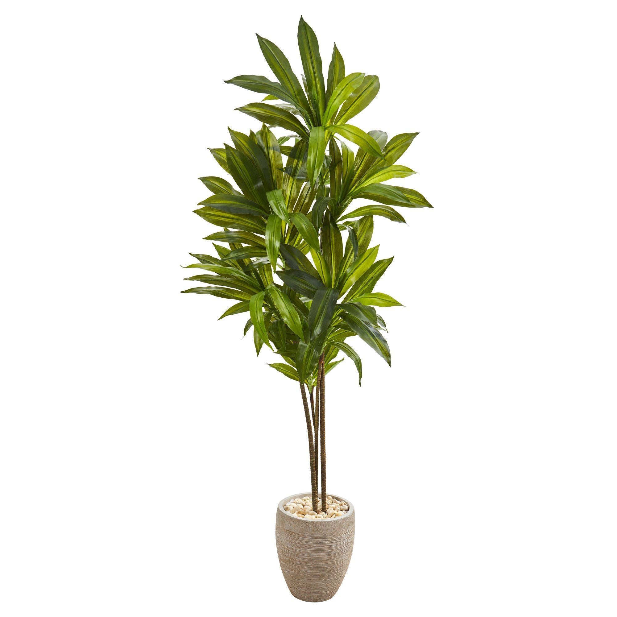 68” Dracaena Artificial Plant in Sand Colored Planter (Real Touch