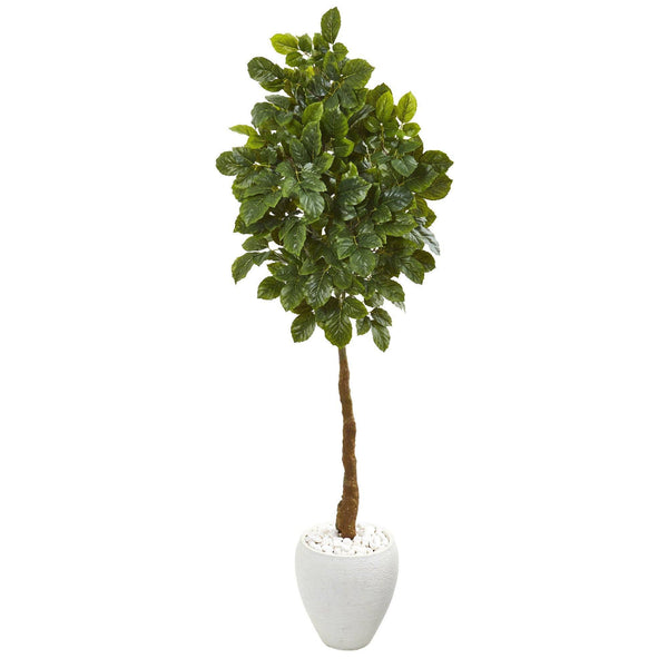 69” Beech Leaf Artificial Tree in White Planter