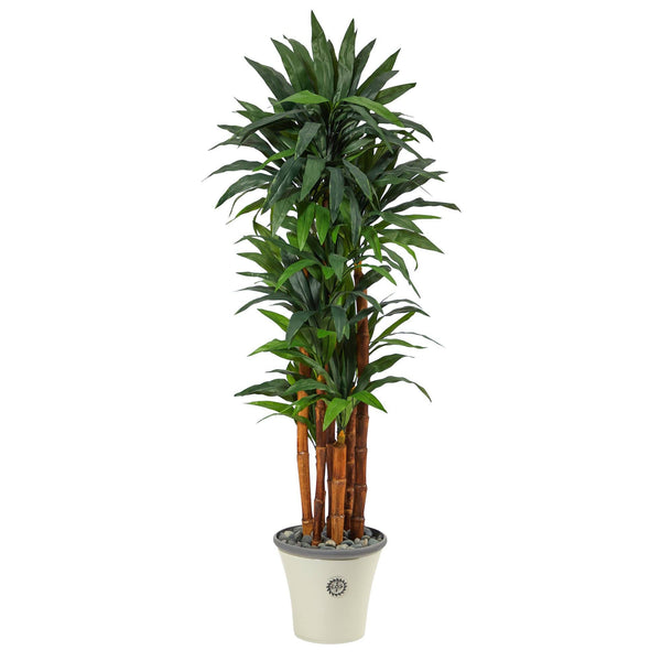 69” Dracaena Artificial Tree in Decorative Planter