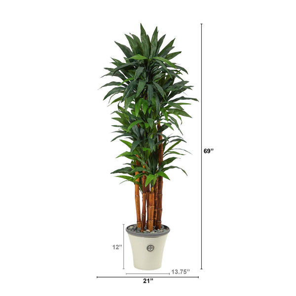 69” Dracaena Artificial Tree in Decorative Planter