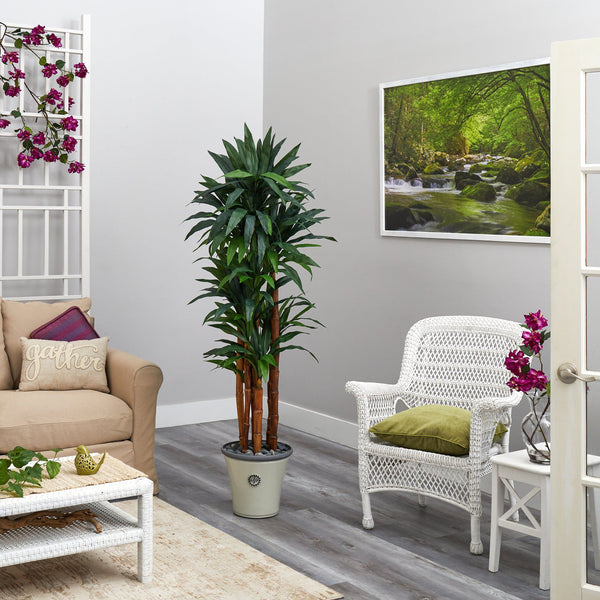 69” Dracaena Artificial Tree in Decorative Planter