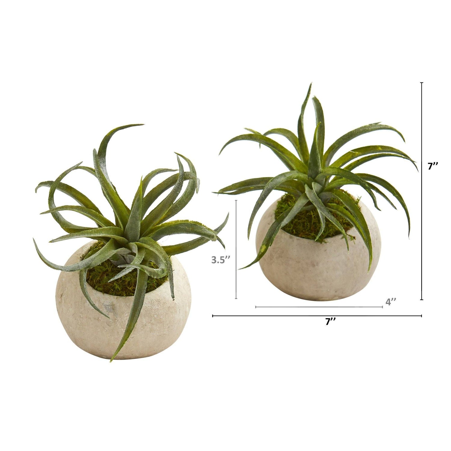 7” Air Plant Succulent Artificial Plant in Stone Planter (Set of 2)