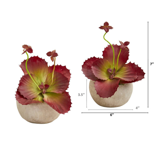 7” Succulent Artificial Plant in Stone Gray Planter (Set of 2)