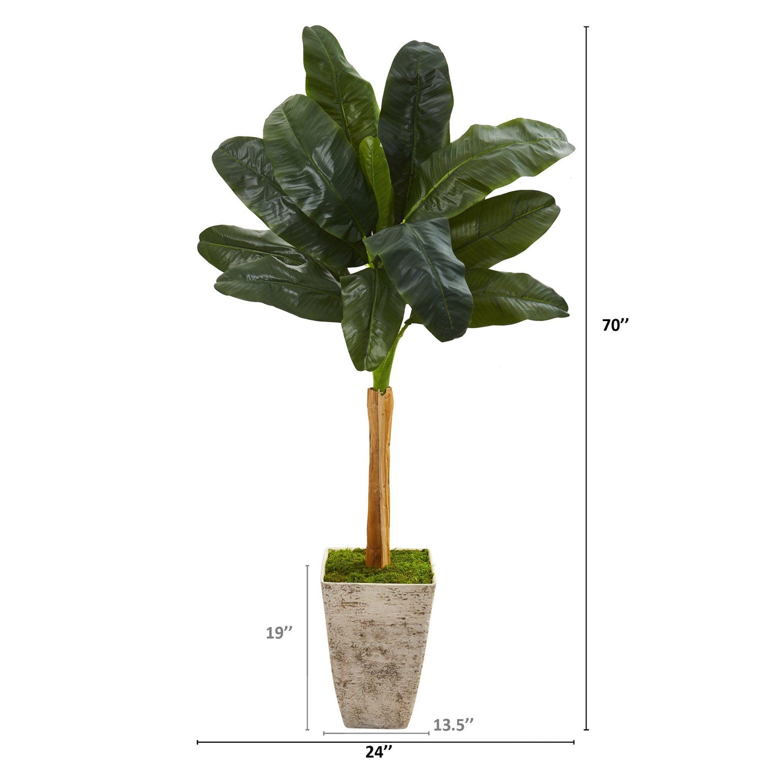 70” Banana Artificial Tree in Country White Planter