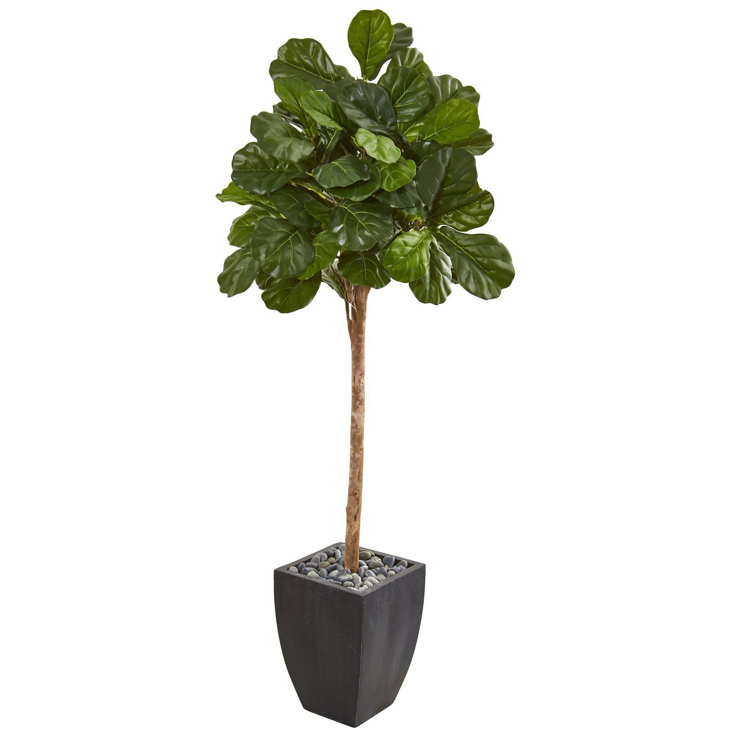 71” Fiddle Leaf Fig Artificial Tree in Black Planter