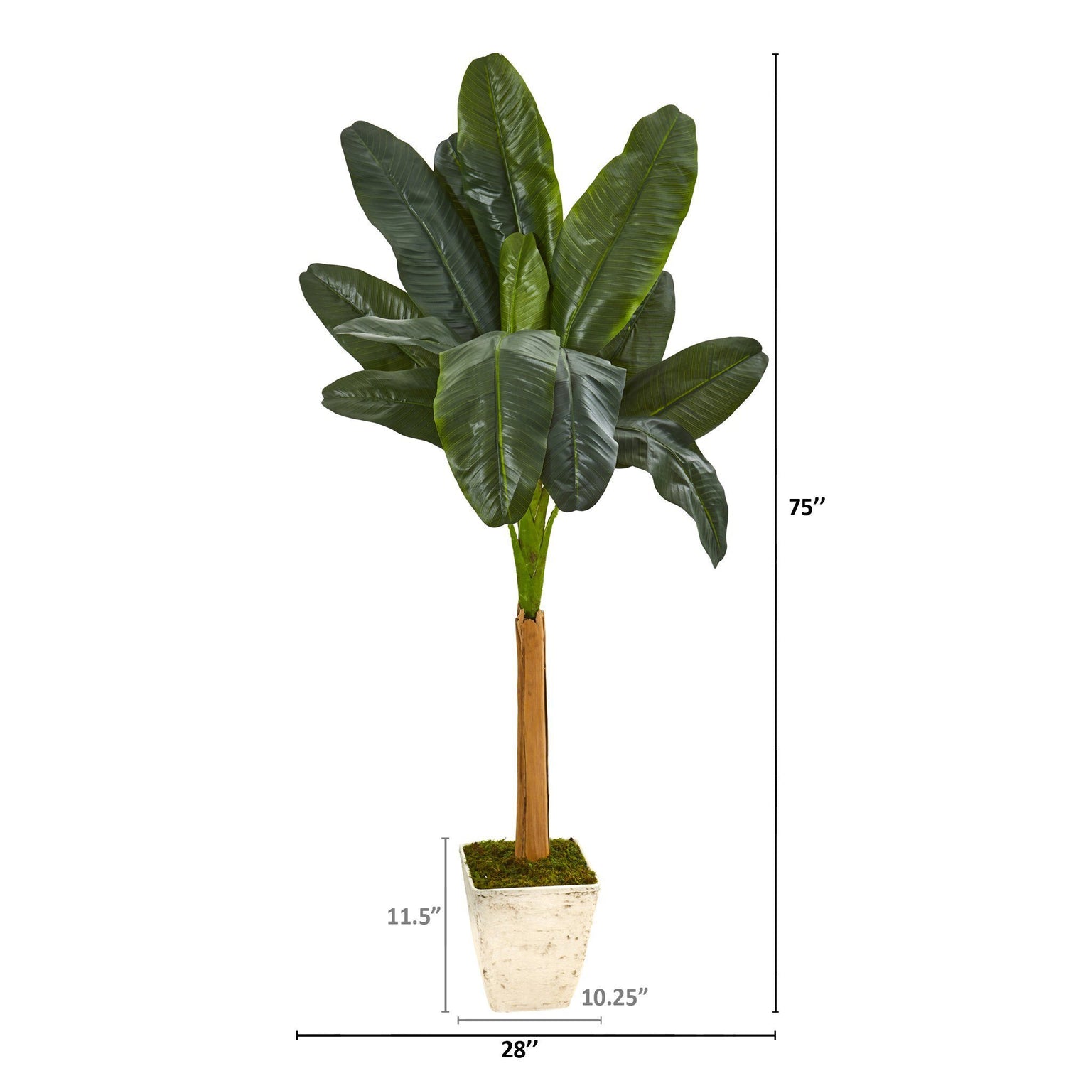 75” Banana Artificial Tree in Country White Planter