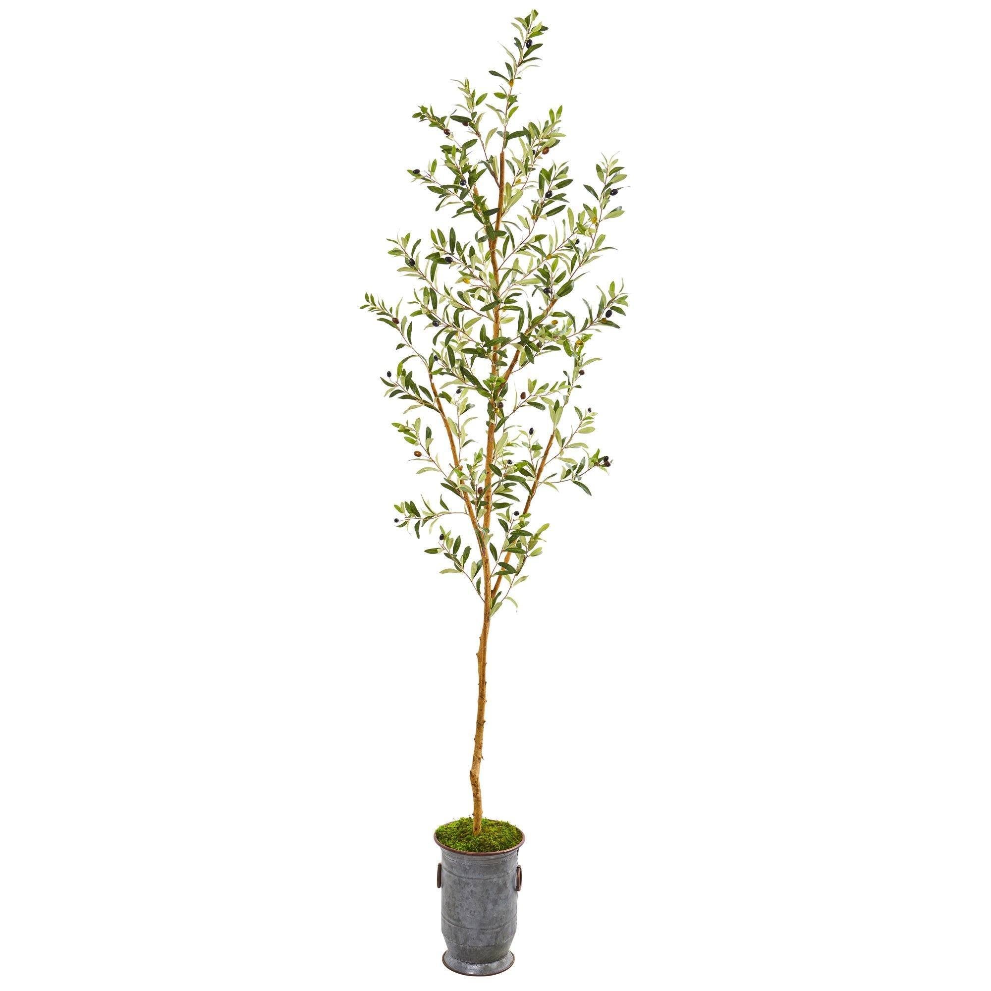 artificial-75-olive-artificial