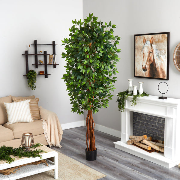 7.5’ Super Deluxe Ficus Tree