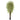 7.5’ Variegated Mini Ficus Silk Tree