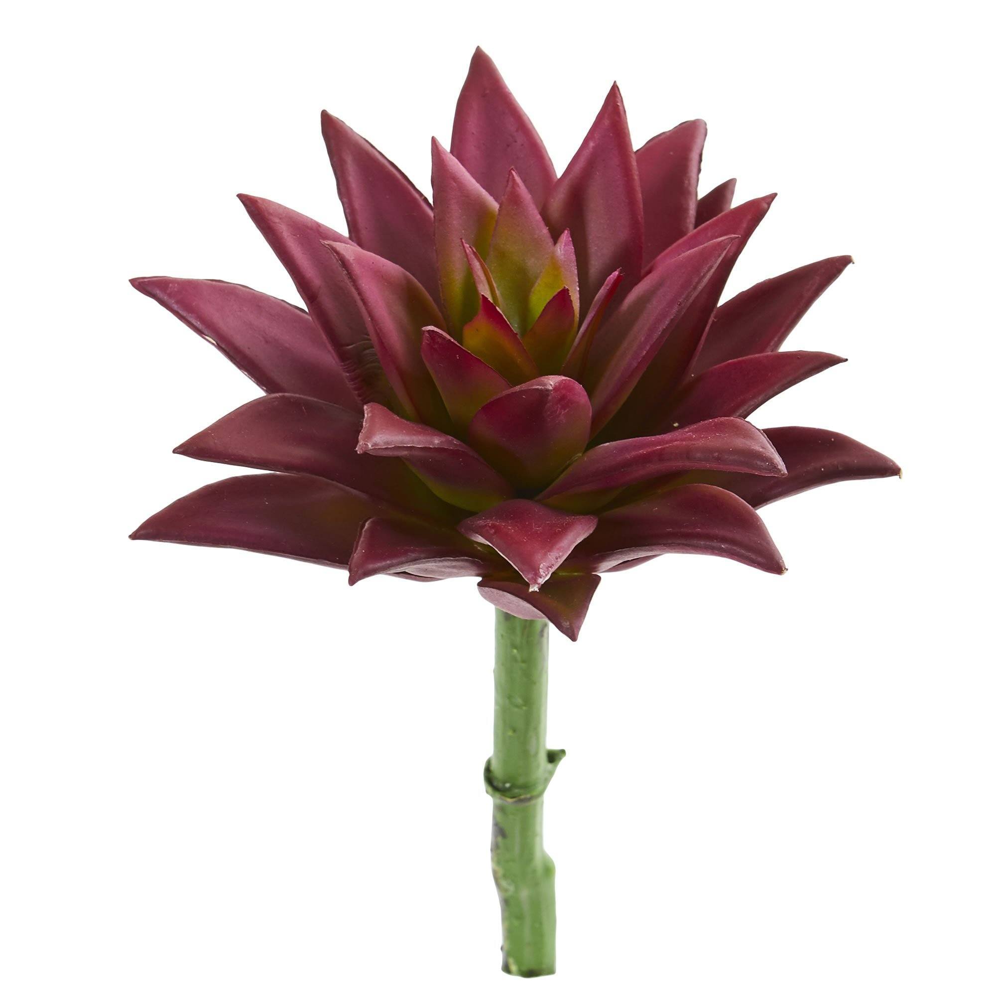 maroon succulent Nearly Natural 8in. Agave Succulent Pick Artificial Plant (Set of 12)