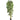 8’ Biggy Style Bamboo Tree