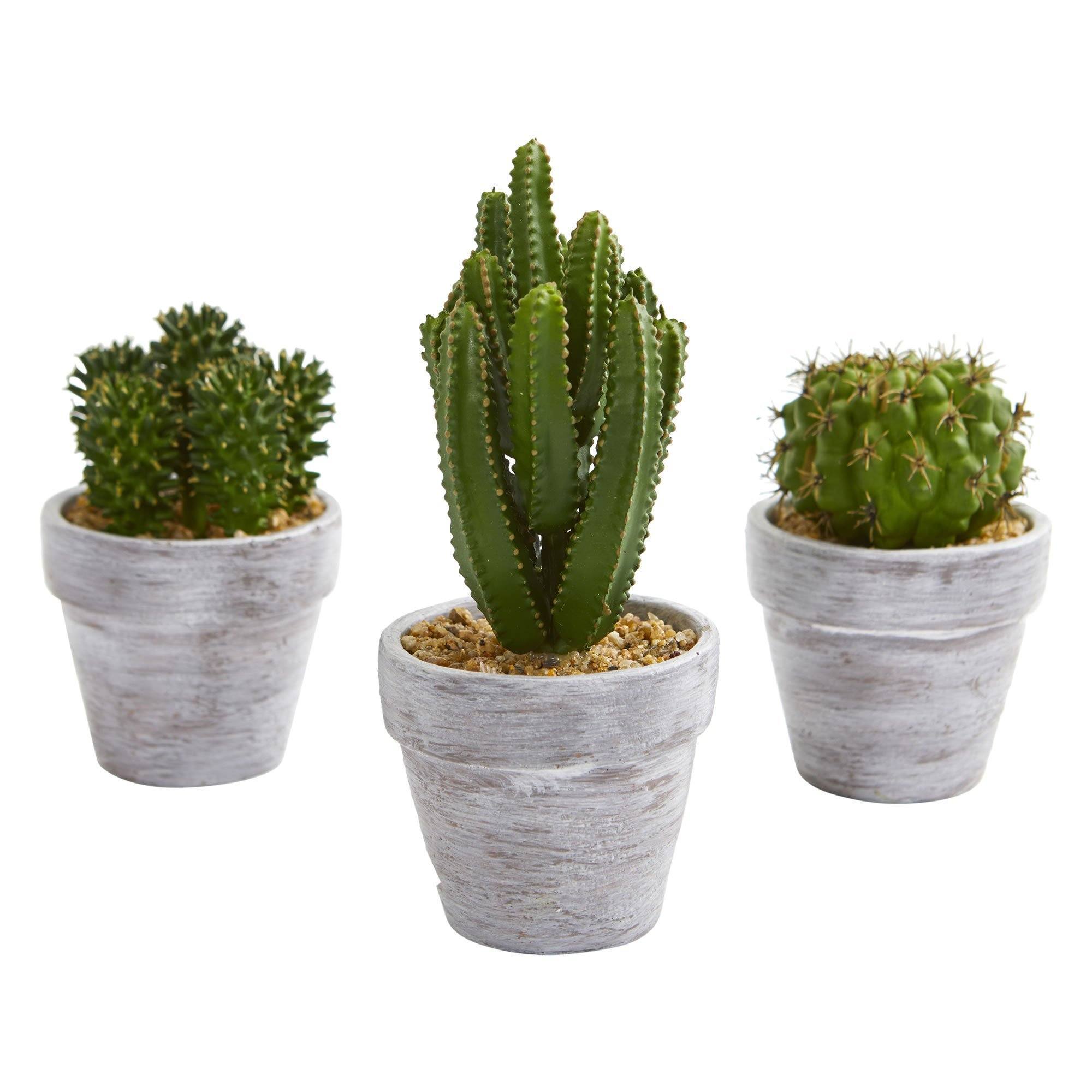 artificial cacti and succulents 8” Cactus Artificial Plant (Set of 3)