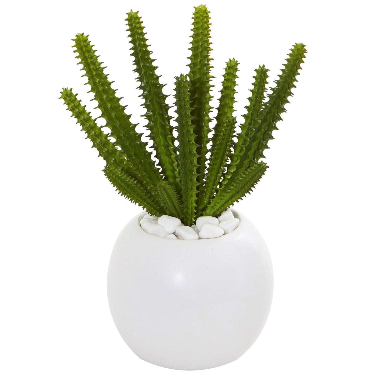 8” Cactus Succulent Artificial Plant in White Planter (Set of 3)