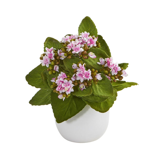8” Kalanchoe Artificial Plant in White Vase (Set of 3)