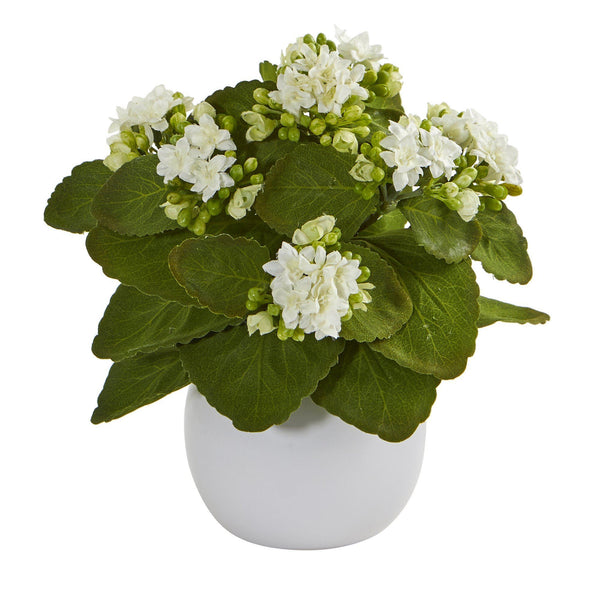 8” Kalanchoe Artificial Plant in White Vase (Set of 3)