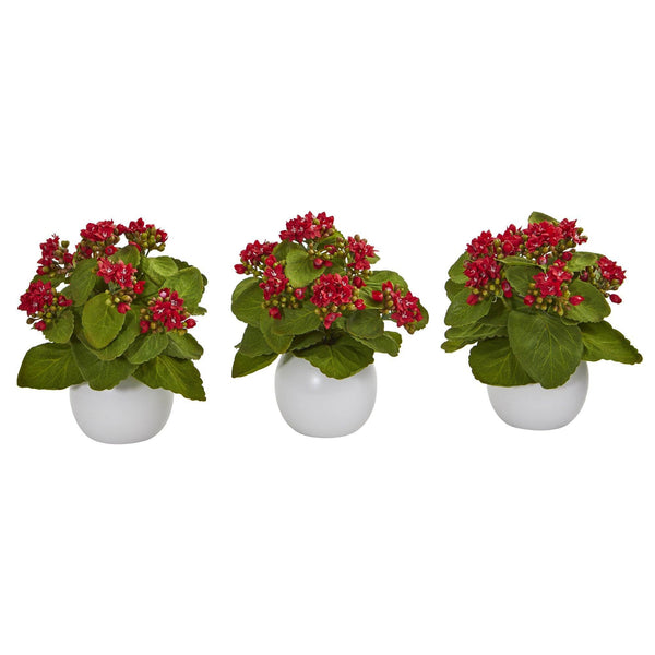 8” Kalanchoe Artificial Plant in White Vase (Set of 3)