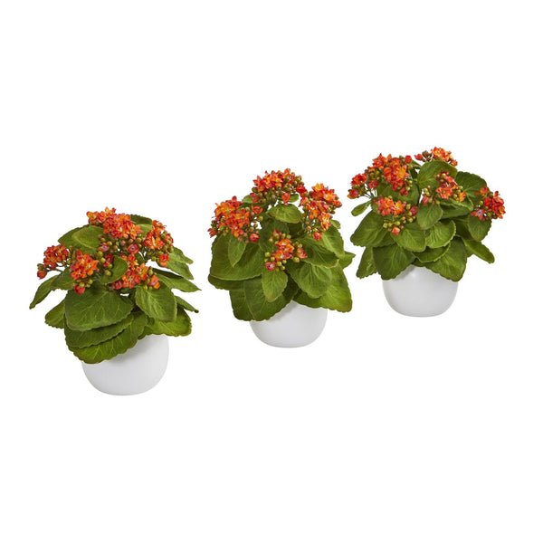 8” Kalanchoe Artificial Plant in White Vase (Set of 3)