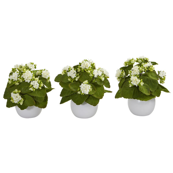 8” Kalanchoe Artificial Plant in White Vase (Set of 3)