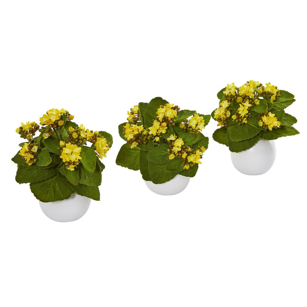 8” Kalanchoe Artificial Plant in White Vase (Set of 3)