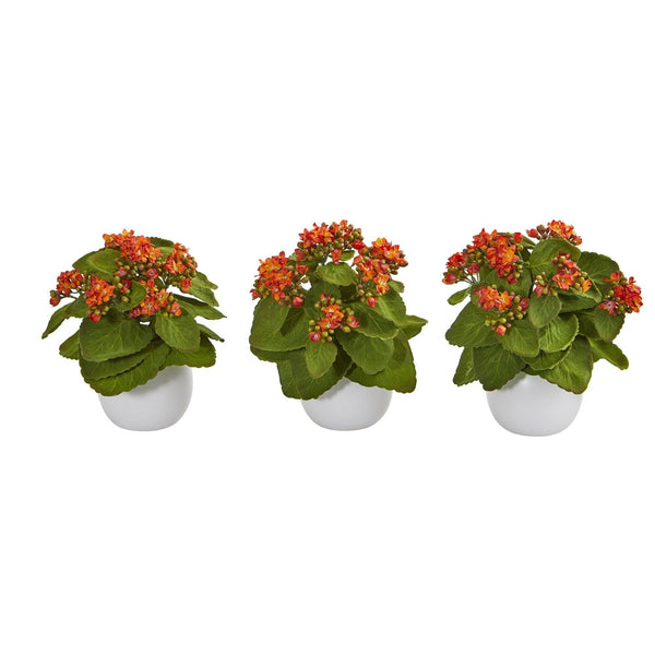 8” Kalanchoe Artificial Plant in White Vase (Set of 3)