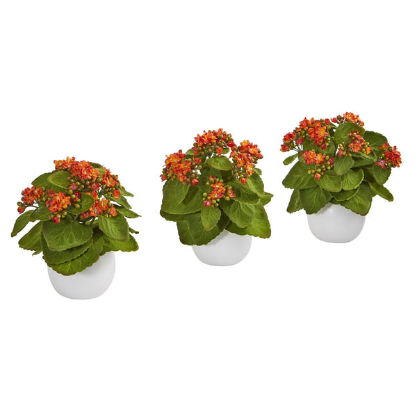 8” Kalanchoe Artificial Plant in White Vase (Set of 3)