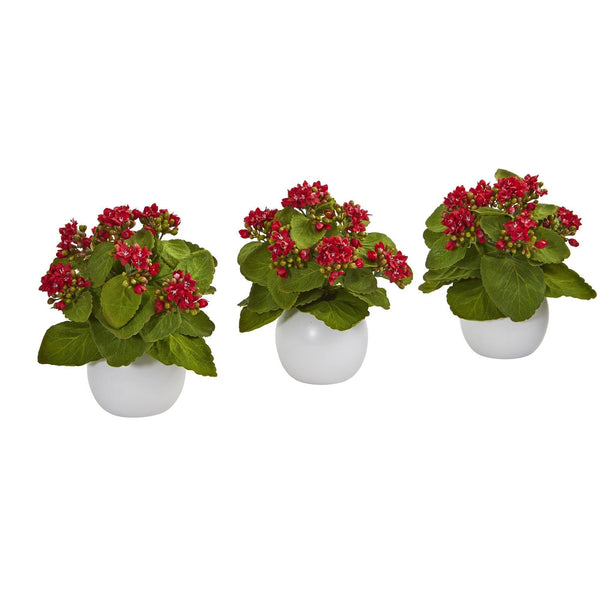 8” Kalanchoe Artificial Plant in White Vase (Set of 3)