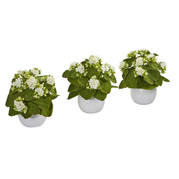 8” Kalanchoe Artificial Plant in White Vase (Set of 3)