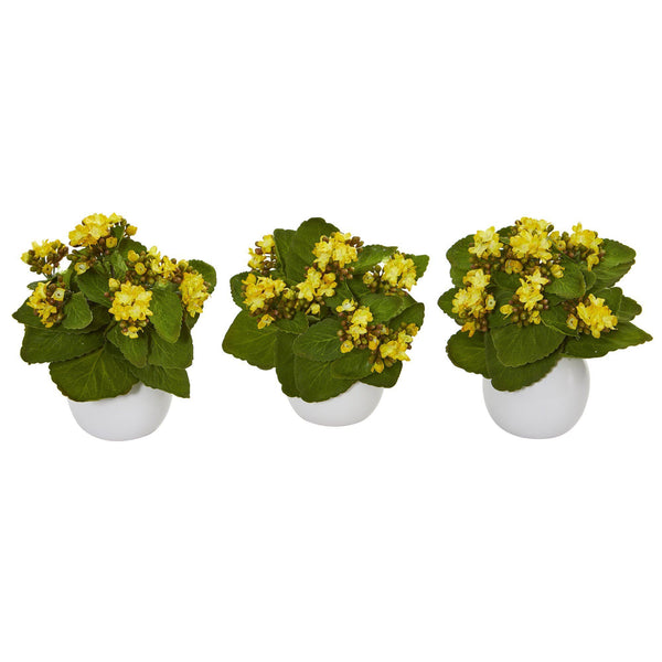 8” Kalanchoe Artificial Plant in White Vase (Set of 3)